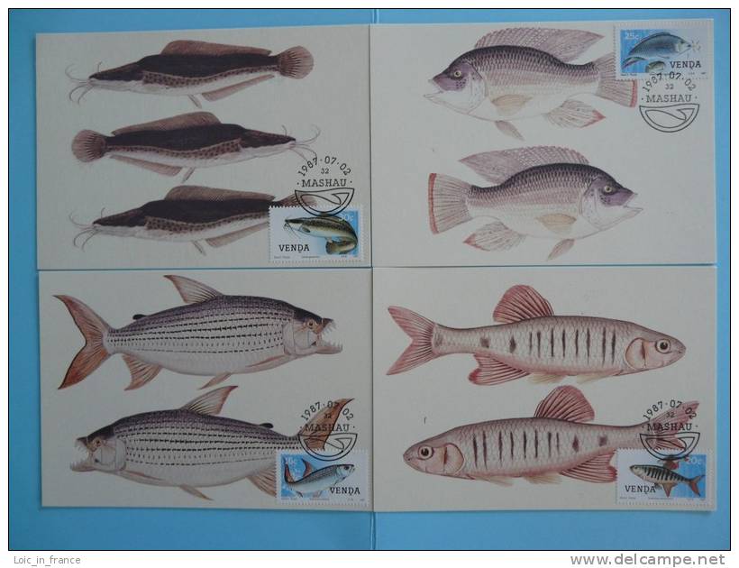 Poissons Fish X4 Cartes Maximum Cards Venda 50 - Poissons