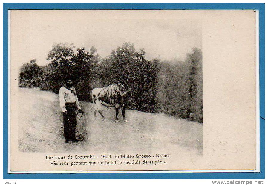 AMERIQUE --  Brésil -- Environ De Corumba - Pêcheur Portant Sur Un Boeuf Le Produit De Sa Pêche - Other & Unclassified