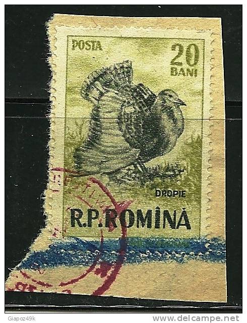 ● ROMANIA 1956 - CACCIA E PESCA - N. 1439 Usato - Cat. ? € - Lotto N. 1068 - Usado