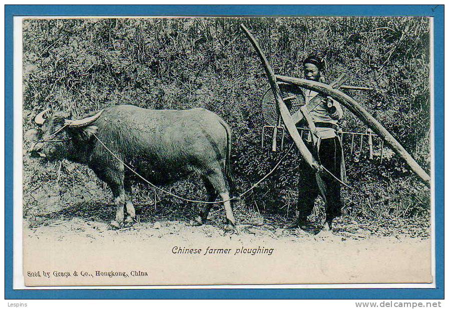 ASIE --  CHINE -- Chinese Farmer Ploughing - China