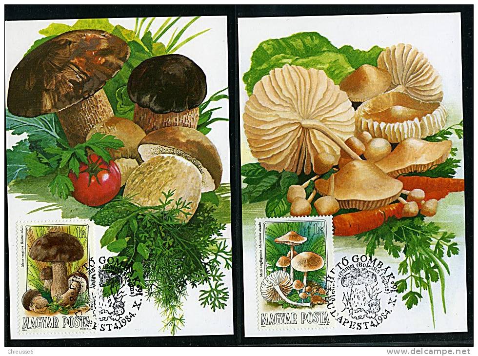 Hongrie Ob N° 2935 à 2941 - 7 CM - Champignons Comestibles (11 P2à5) - Unused Stamps