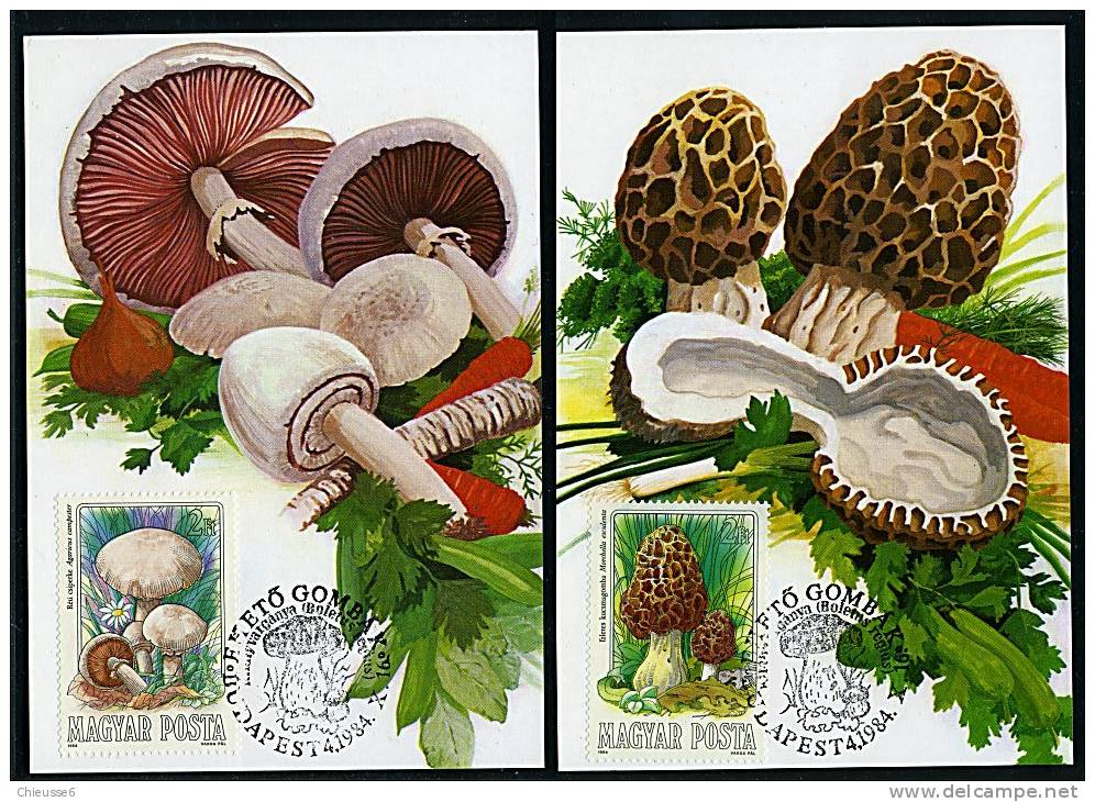 Hongrie Ob N° 2935 à 2941 - 7 CM - Champignons Comestibles (11 P2à5) - Unused Stamps