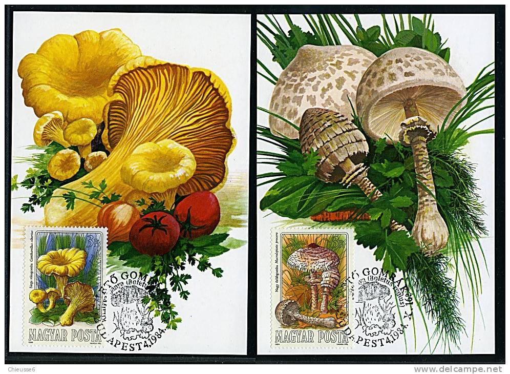 Hongrie Ob N° 2935 à 2941 - 7 CM - Champignons Comestibles (11 P2à5) - Unused Stamps