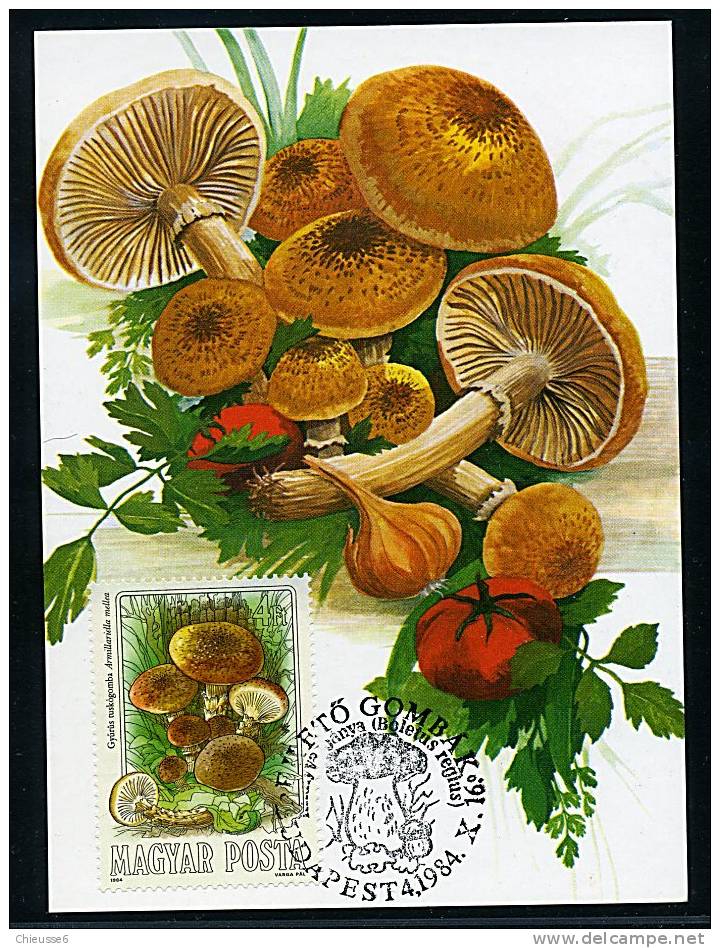 Hongrie Ob N° 2935 à 2941 - 7 CM - Champignons Comestibles (11 P2à5) - Unused Stamps