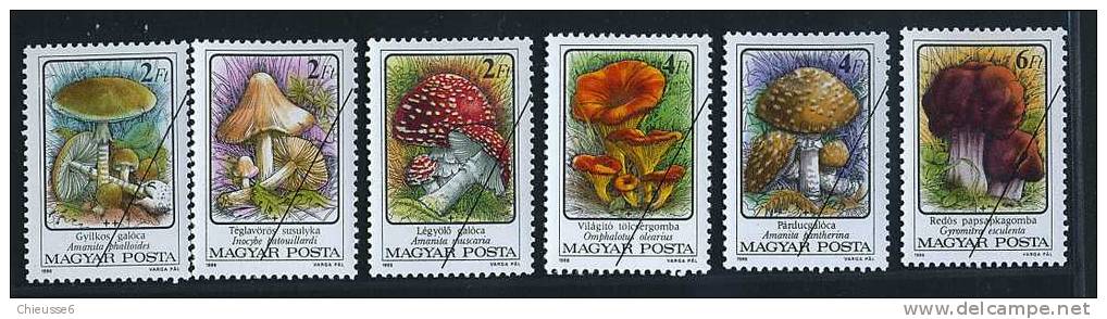 Hongrie ** N° 3081 à 3086 Specimen  - Champignons Vénéneux (11 P10) - Unused Stamps