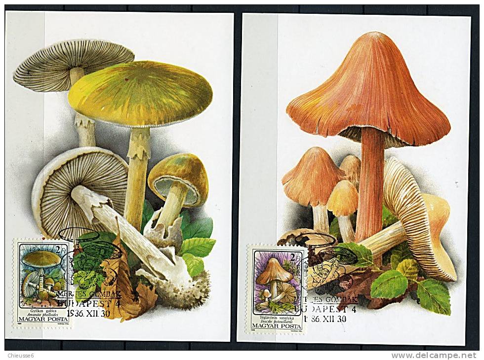 Hongrie Ob N° 3081 à 3086 Sur 6 CM - Champignons Vénéneux (11 P13 à 15) - Unused Stamps