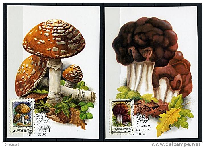 Hongrie Ob N° 3081 à 3086 Sur 6 CM - Champignons Vénéneux (11 P13 à 15) - Unused Stamps