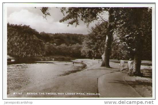 Real Photo PCd Beside The Tweed HAY LODGE PARK - Peebles - Peebles Shire - The BORDERS - Scotland - Peeblesshire