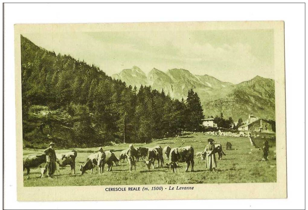 CERESOLE REALE -  LE LEVANNE - Altri & Non Classificati