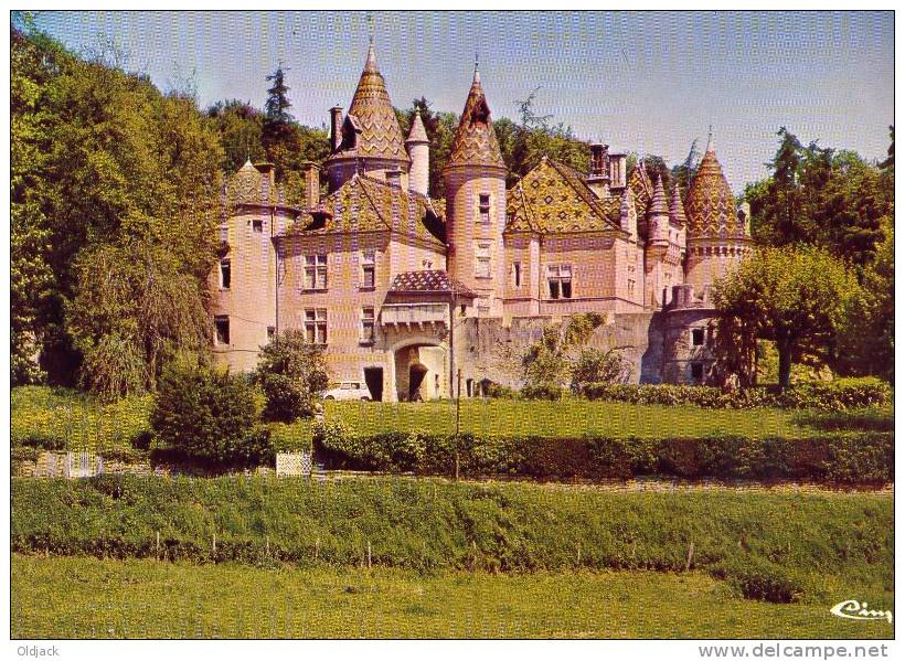 SAINT GENGOUX LE NATIONAL Château De Burnand - Otros & Sin Clasificación