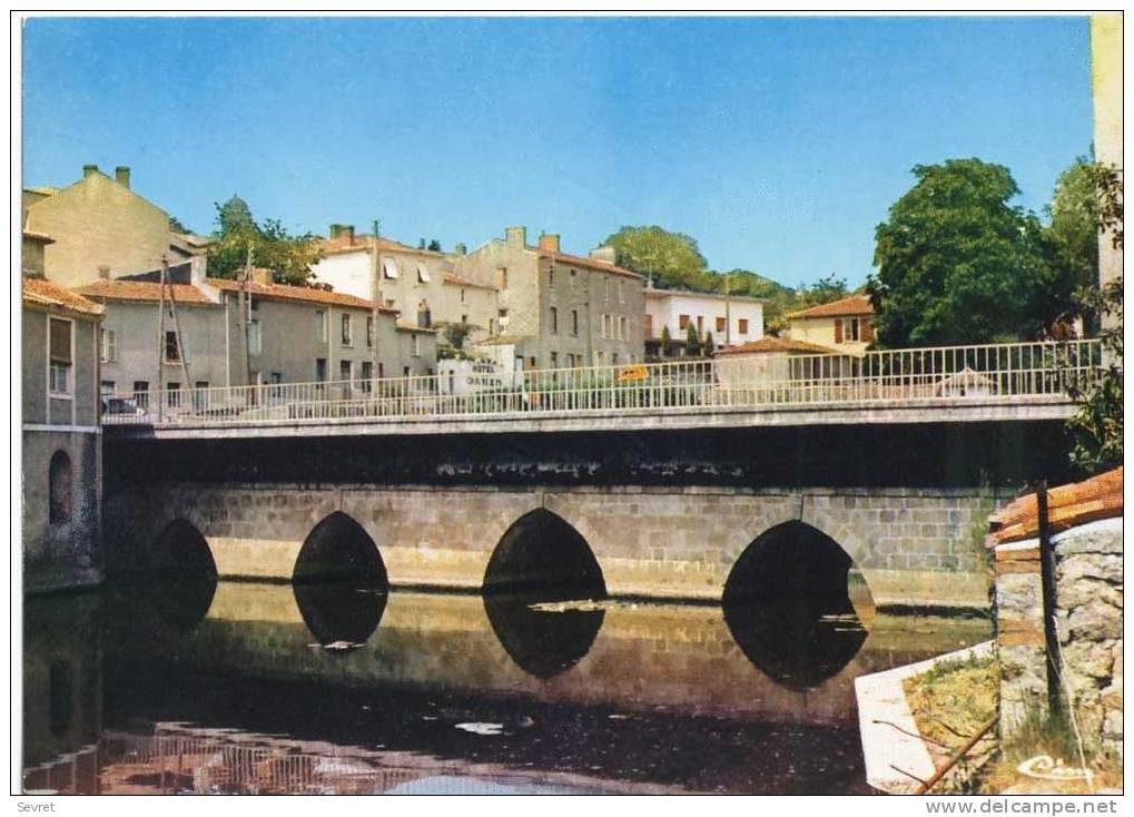 MONTFAUCON. - Le Pont Sur La  Moine . CPM - Montfaucon