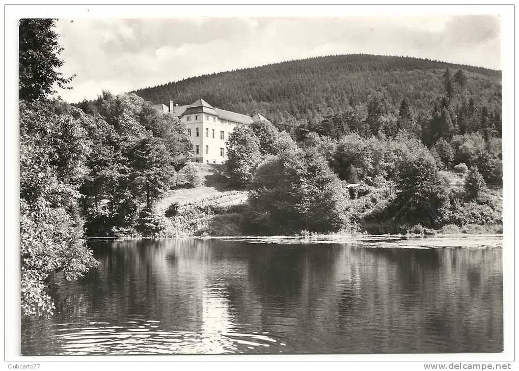 Ilmenau (Allemagne) : Blick Zur Goethe-Schule In 1950. - Ilmenau