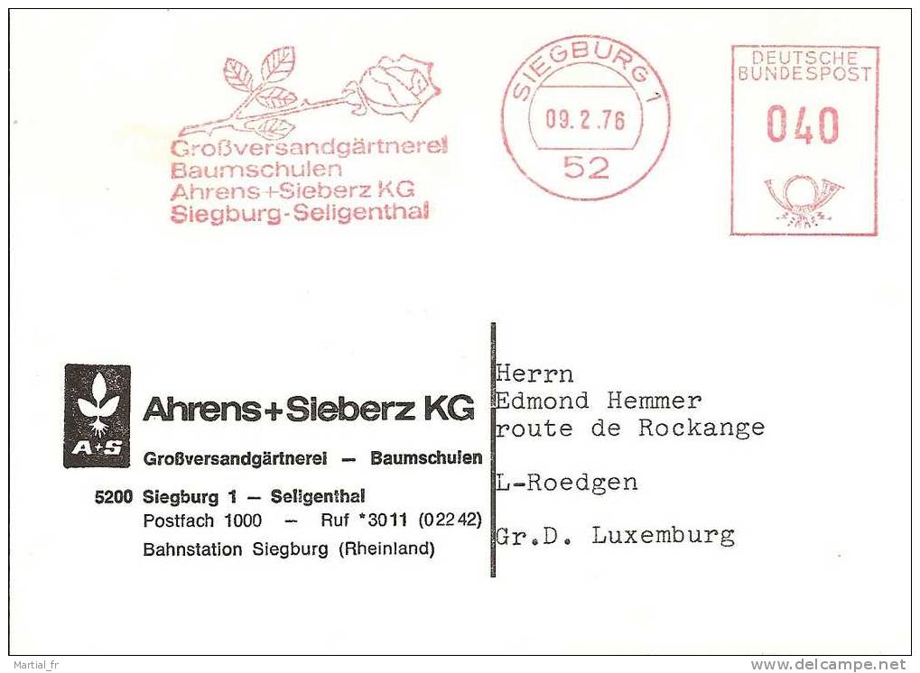 EMA ALLEMAGNE DEUTSCHLAND GERMANY ROSE ROSEN ROZEN RED METER STAMP ABSENDER FREISTEMPEL AFS JARDINERIE GAERTNEREI - Rose