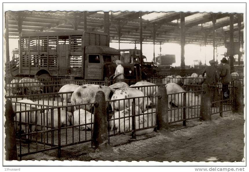 Carte Postale Paris - Le Marché De La Villette. Le Hall Aux Porcs - Agriculture, Boucherie, Abattoirs - Arrondissement: 19