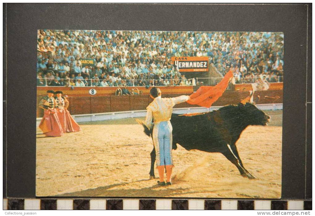 CORRIDA DE TOROS PASE POR ALTO - Corridas