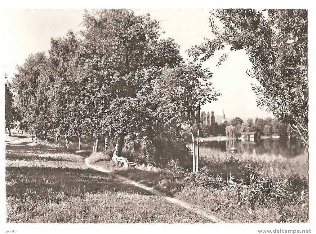 Kuranstalt Mammern Am Untersee TG Seepromenade 1966 - Mammern