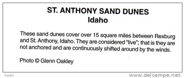 Etats Unis   Idaho  St Anthony Sand Dunes   CPM  Non Circulé TBE - Autres & Non Classés