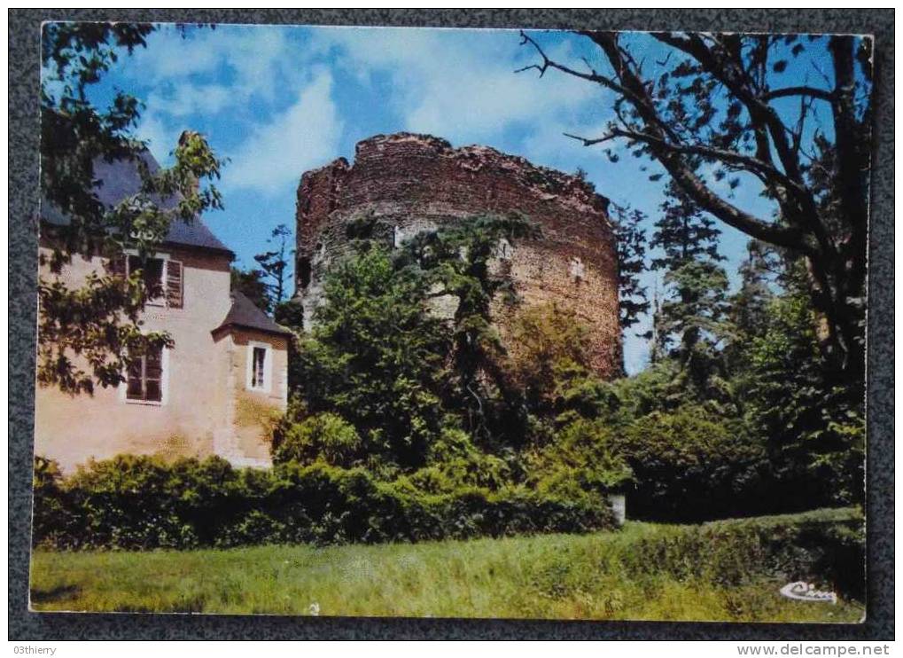 CPSM 89 - SAINT SAUVEUR EN PUISAYE - LA TOUR DU CHATEAU - 1976 - - Saint Sauveur En Puisaye