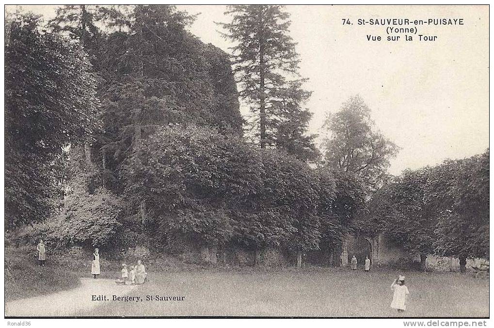 CP 89 SAINT SAUVEUR EN PUISAYE Vue Sur La Tour  ( Parc Forêt  ) - Saint Sauveur En Puisaye