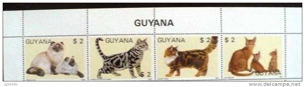 GUYANA:  Feuillet 4 Valeurs Chats NEUF - Guyane (1966-...)