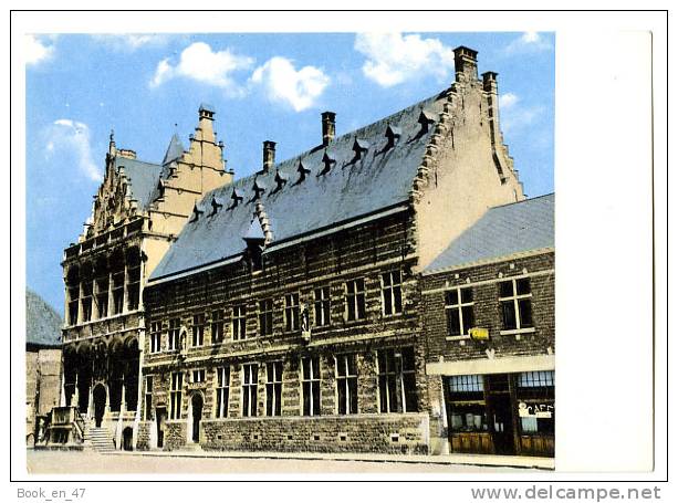 {32051} Belgique Zoutleeuw , L' Hôtel De Ville - Zoutleeuw