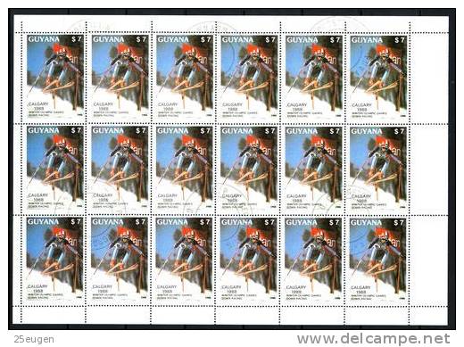 GUYANA 1988 MICHEL No: 2408 MS USED - Winter 1988: Calgary