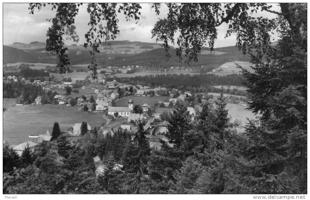 13835    Germania,   Hinterzarten Im  Schwarzwald, 900 M U.d.M.,   VG  1961 - Hinterzarten