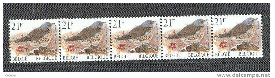 BELGIE  KRAMSVOGEL  STROOK VAN 5 ZEGELS MET 5 CIJFERS( 00520 )  2000 ** - Rollen