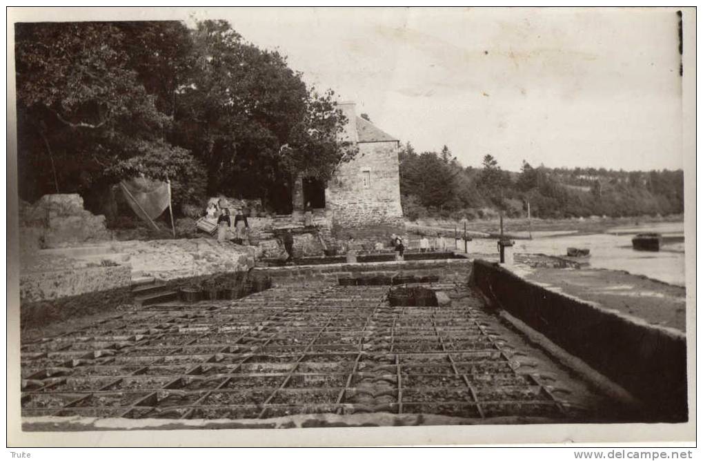 RIEC-SUR-BELON CARTE PHOTO  BASSINS A HUITRES A LA PORTE NEUVE ANIMEE - Autres & Non Classés