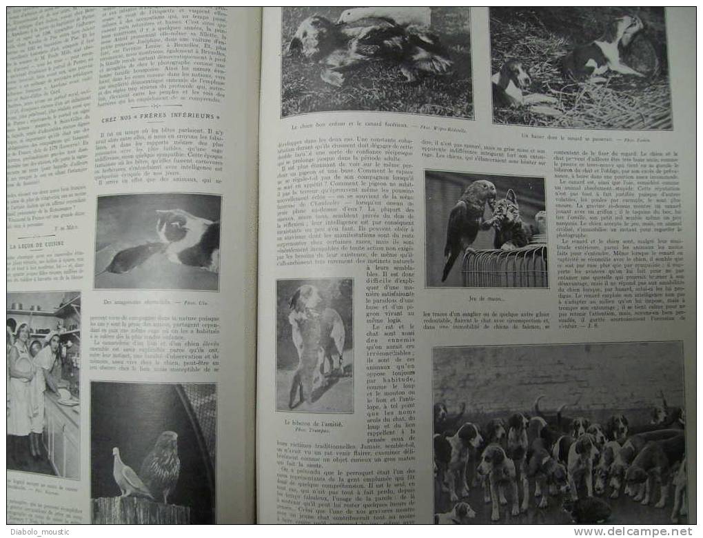 1931 :Pierre LAVAL ; Extrême-Orient ; Le TANK-AMPHIBIE ;Les AVIONS RAPIDES ; Nos frères les BÊTES ; Ménétreux-le-Pitois