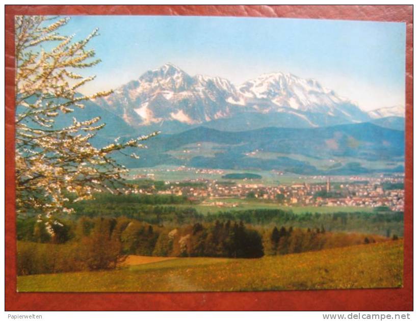 Freilassing - Panorama - Freilassing