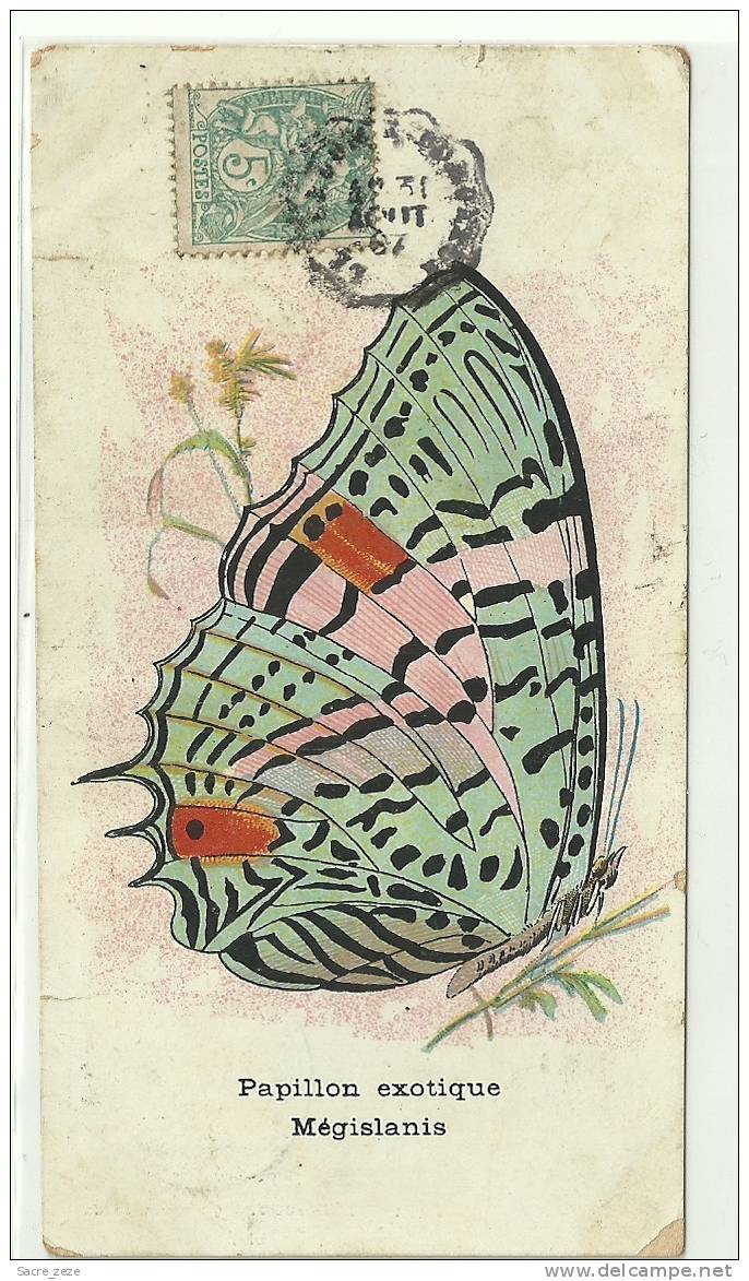 PAPILLONS EXOTIQUE-1907-Mégislanis-gravure-format 14X7,5-paire De Timbres Taxe - Mariposas