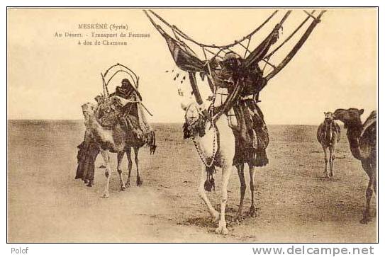 MESKENE - Au Desert, Transport De Femmes A Dos De Chameau    (20107) - Syria