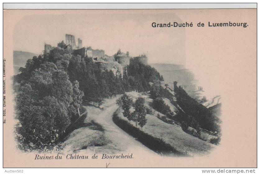Grand Duché De Luxembourg CP Ruines Du Château De Bourscheid 188 - Châteaux