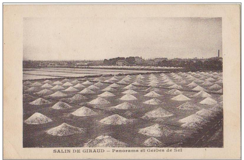 CPA 83 SALIN DE GIRAUD Panorama Et Gerbes De Sel - Otros & Sin Clasificación