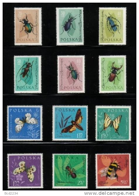 POLAND 1961 PROTECTED ENDANGERED INSECTS SET OF 12 BUTTERFLIES BEES BEETLES ANTS MNH - Neufs