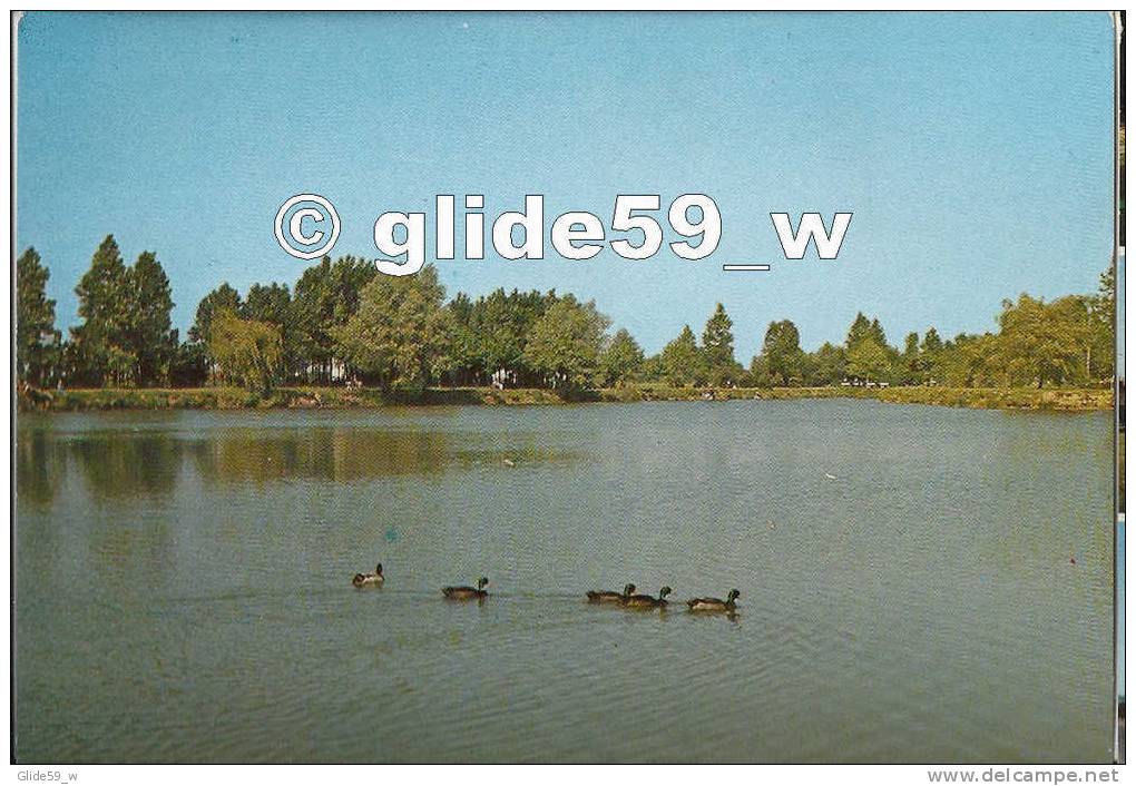 ARMENTIERES - Les Etangs - N° 4698 - Armentieres