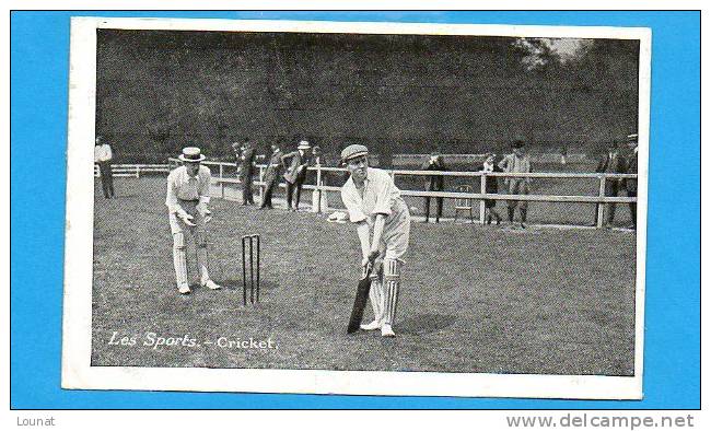 Les Sports -CRICKET (Pub BERNHEIM Chauuse Bien , Rue Du Commerce - Paris) - Sonstige & Ohne Zuordnung