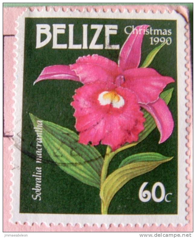 Belize 1991 Cover To USA - Orchid Flower Sobralia - Belize (1973-...)