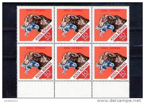 1965 CHIEN DE CHASSE  YV= 2187  MNH BLOC X 6 - Nuevos