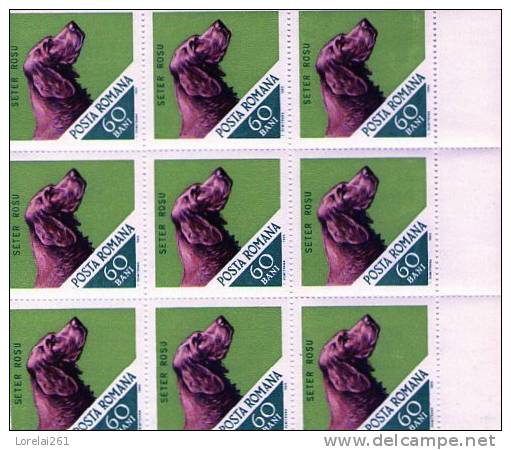 1965 CHIEN DE CHASSE  YV= 2189  MNH  BLOC X 9 - Neufs