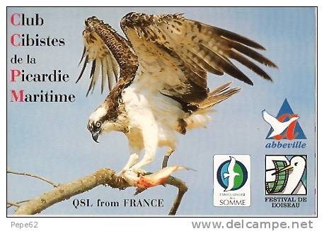 Abbeville-festival De L´oiseau-picardie Maritime-aigle-carte De QSL-cpm - CB-Funk