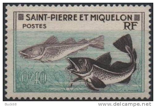 SAINT-PIERRE-ET-MIQUELON SPM  353 ** MNH Poisson Morue Fisch Fish 1957 - Neufs