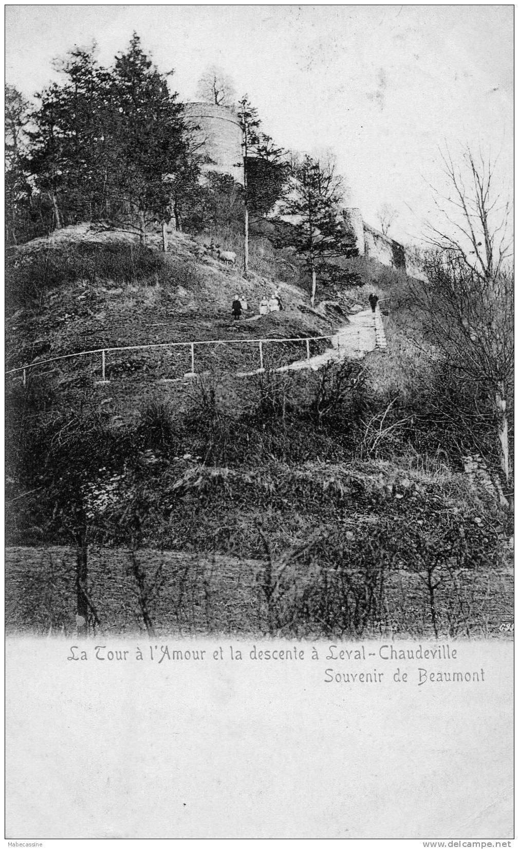 Belgique Souvenir De Beaumont La Tour à L'Amour Et La Descenteà Leval Chaudeville Animée - Beaumont