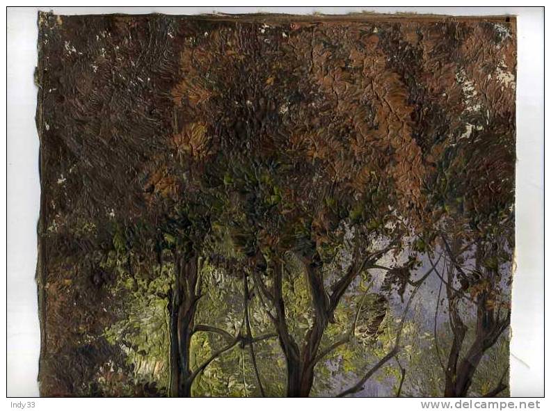 - PAYSAGE AVEC TROIS ARBRES . HUILE SUR TOILE SANS CHASSIS . SIGNEE - Oleo