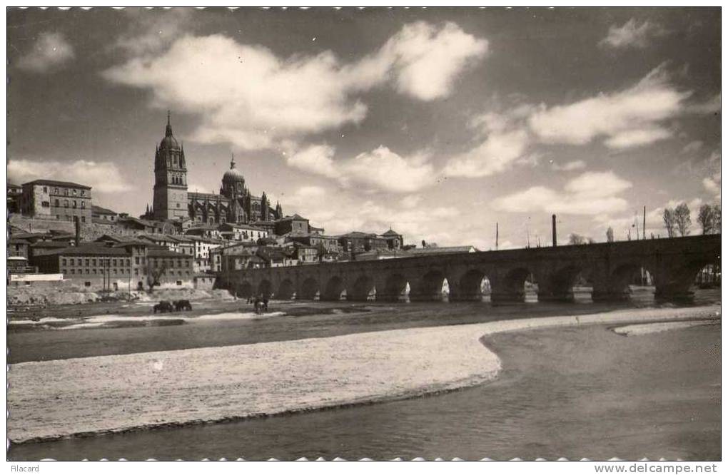 13937   Spagna,    Salamanca,  Puente  Romanico Sobre El Tormes Y  Catedral, NV - Salamanca