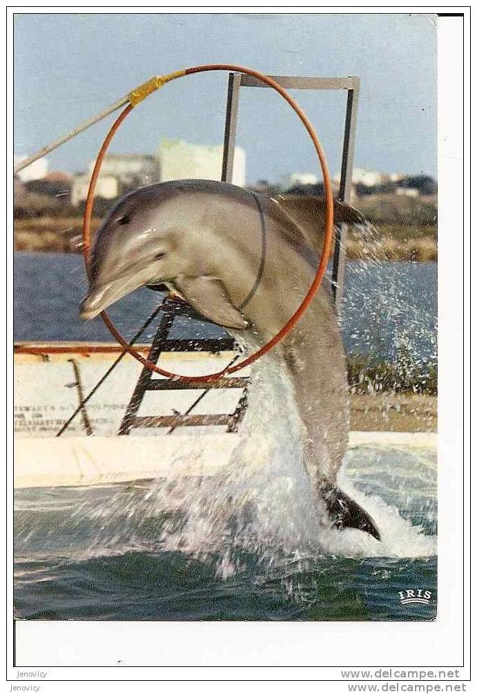 LES DAUPHINS SAVANTS. REF 7910 - Delfines