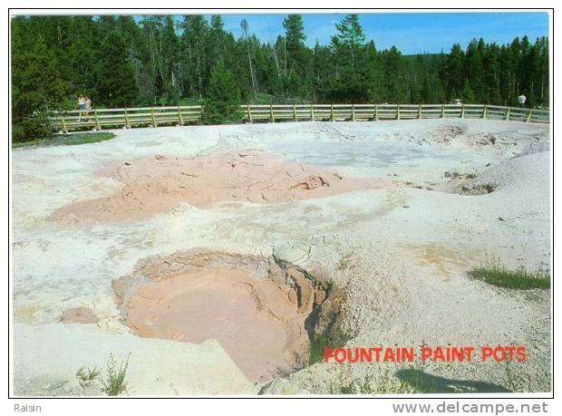 Etats Unis Yellowstone Fountain Paint Pots  National Park  Carte Non Circulé TBE - Yellowstone