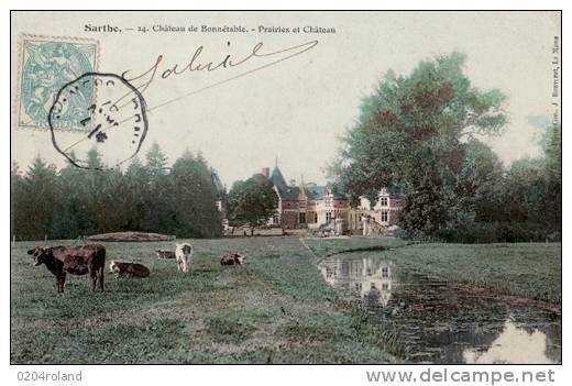 Fresnay Sur Sarthe - Sarthe -  Château De Bonnètable - Prairies Et Château: Achat Immédiat - La Fresnaye Sur Chédouet