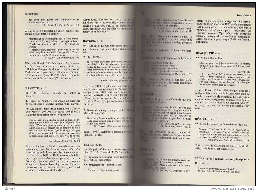 DICTIONNAIRE DU FRANCAIS NON CONVENTIONNEL OU ARGOT - Dictionnaires